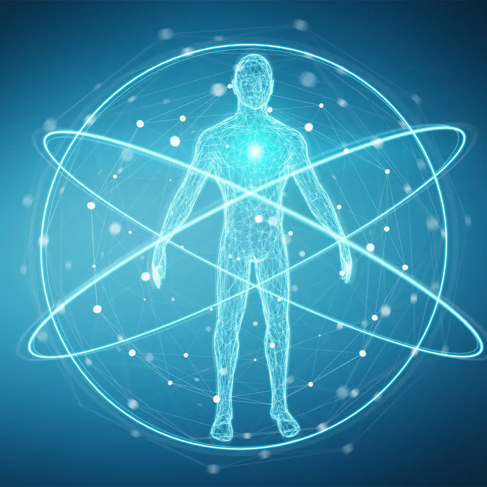 Digitale Röntgen-Hintergrundschnittstelle für den menschlichen Körperscan, 3D-Rendering